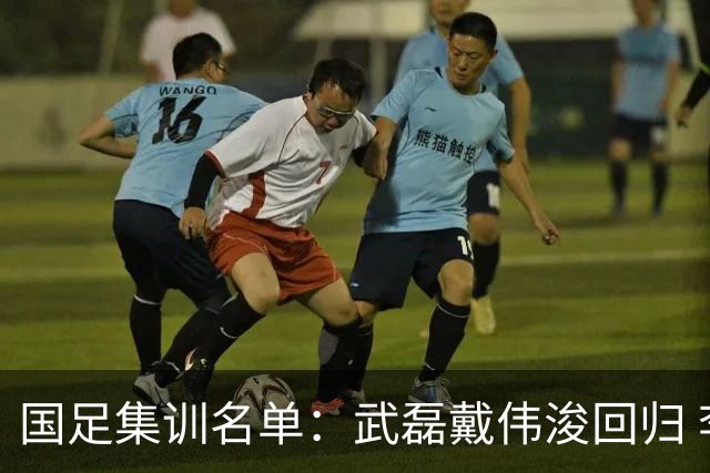国足集训名单：武磊戴伟浚回归 李昊首次入围