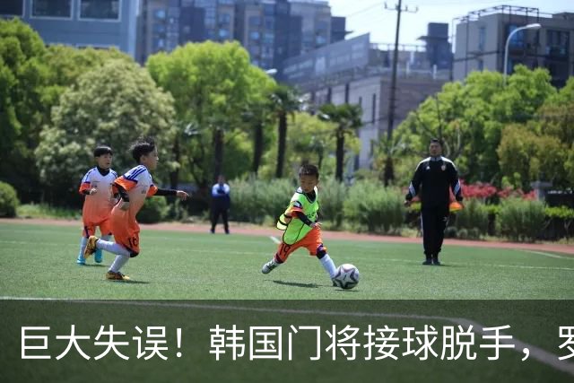 巨大失误！韩国门将接球脱手，罗莫进球，墨西哥1比0韩国